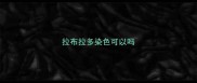 拉布拉多染色可以吗
