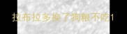 拉布拉多换了狗粮不吃