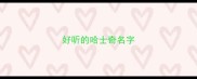 好听的哈士奇名字