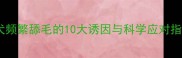 泰迪犬频繁舔毛的10大诱因与科学应对指南1