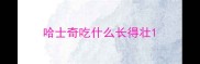 哈士奇吃什么长得壮