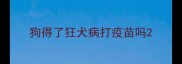 狗得了狂犬病打疫苗吗