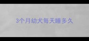 3个月幼犬每天睡多久