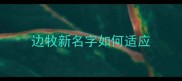 边牧新名字如何适应