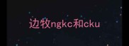 边牧ngkc和cku