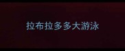 拉布拉多多大游泳