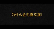 为什么金毛喜欢猫