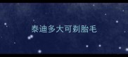 泰迪多大可剃胎毛
