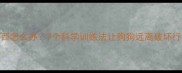边境牧羊犬爱咬东西怎么办7个科学训练法让狗狗远离破坏行为附纠正步骤