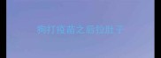 狗打疫苗之后拉肚子