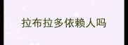 拉布拉多依赖人吗