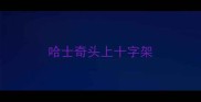 哈士奇头上十字架