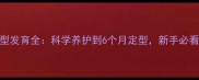 暹罗猫体型发育全科学养护到6个月定型新手必看喂养指南