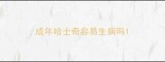 成年哈士奇容易生病吗