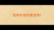 宠物市场伤害宠物