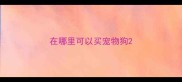 在哪里可以买宠物狗