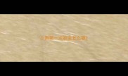 小狗第一次驱虫怎么驱