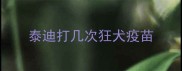 泰迪打几次狂犬疫苗
