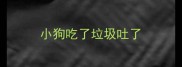 小狗吃了垃圾吐了