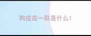 狗疫苗一联是什么
