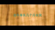 法牛身长几个月长完