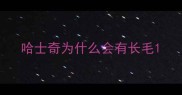哈士奇为什么会有长毛
