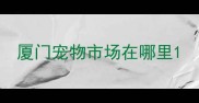 厦门宠物市场在哪里