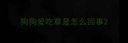 狗狗爱吃草是怎么回事