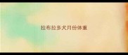 拉布拉多犬月份体重