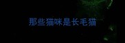 那些猫咪是长毛猫