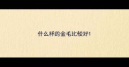 什么样的金毛比较好