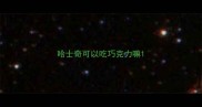 哈士奇可以吃巧克力嘛