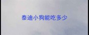 泰迪小狗能吃多少