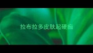 拉布拉多皮肤起硬痂