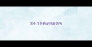 三个月狗狗能喝酸奶吗