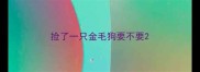 捡了一只金毛狗要不要