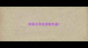 韩国犬用疫苗紫色盖
