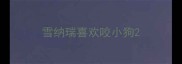 雪纳瑞喜欢咬小狗