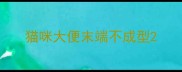 猫咪大便末端不成型