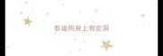 泰迪狗身上有皮屑