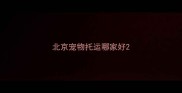 北京宠物托运哪家好