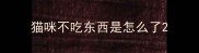 猫咪不吃东西是怎么了