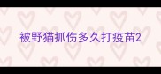 被野猫抓伤多久打疫苗