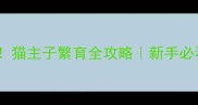 3-5岁黄金期猫主子繁育全攻略新手必看科学指南