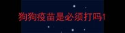狗狗疫苗是必须打吗
