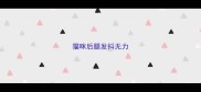 猫咪后腿发抖无力
