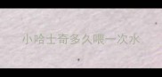 小哈士奇多久喂一次水