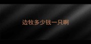 边牧多少钱一只啊