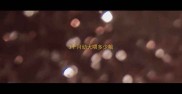 3个月幼犬喂多少粮
