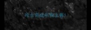 哈士奇成年狗出售